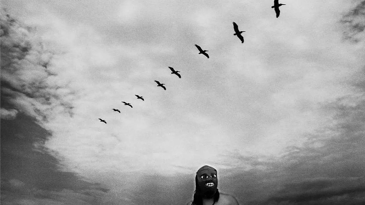 La lucha es libre, pieza aves 