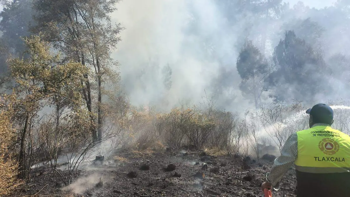 protección civil incendios forestales (1).