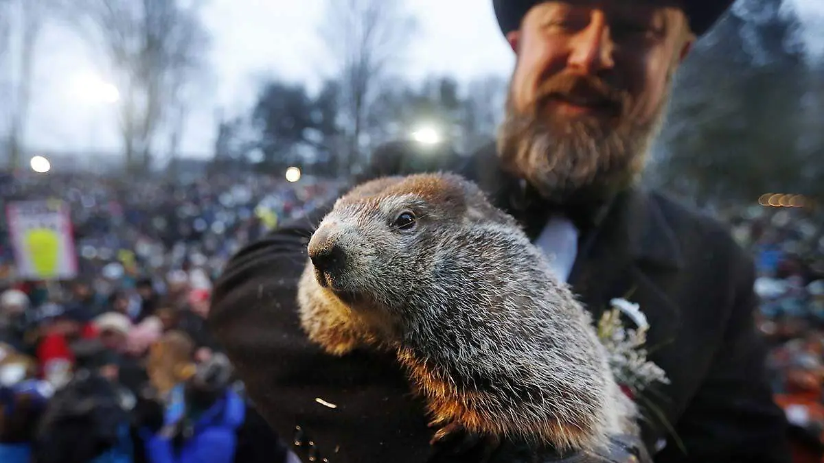Dia de la Marmota1