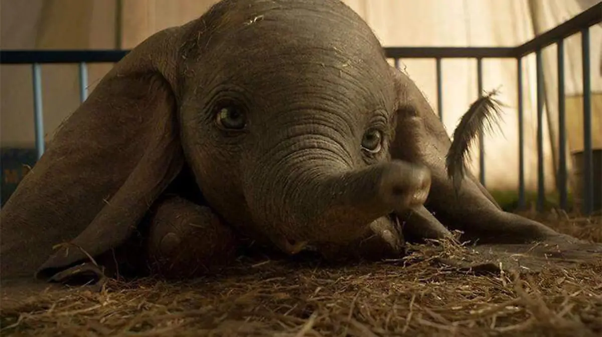 dumbo-disney