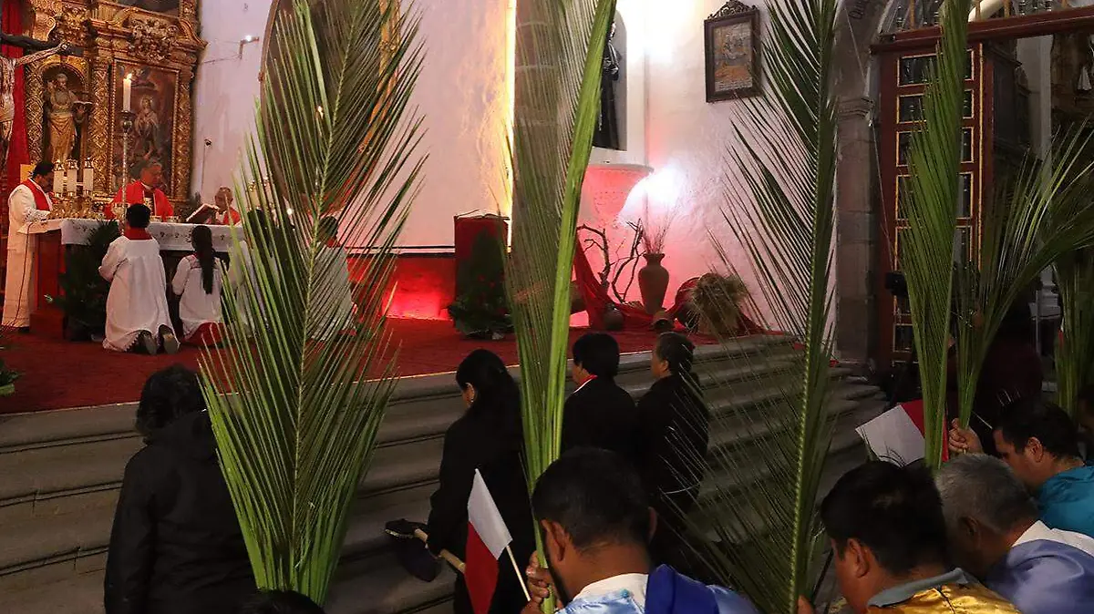 BENDICIÓN PALMAS 6