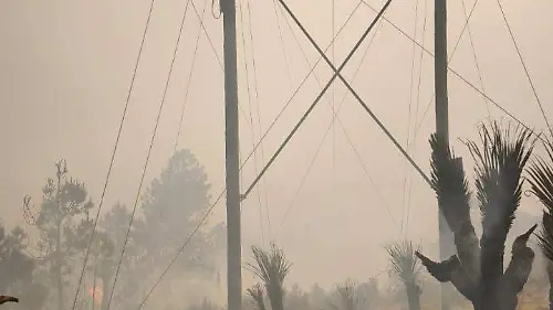 incendio forestal (1)