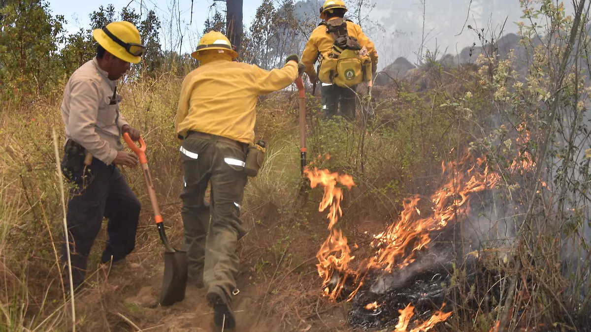 FUEGO FORESTAL