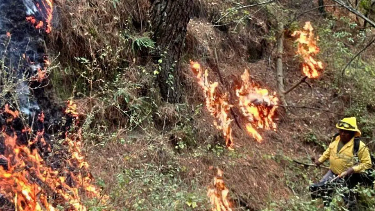 incendios  pastizales bomberos (3).