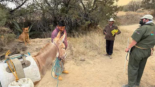 Zoológico (2)