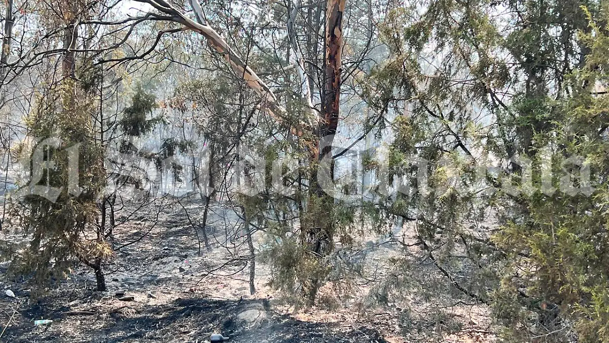 incendio pastizal 2 2.