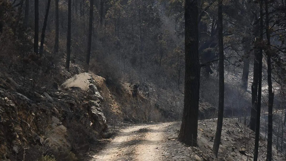incendio Atltzayanca controlado 4.