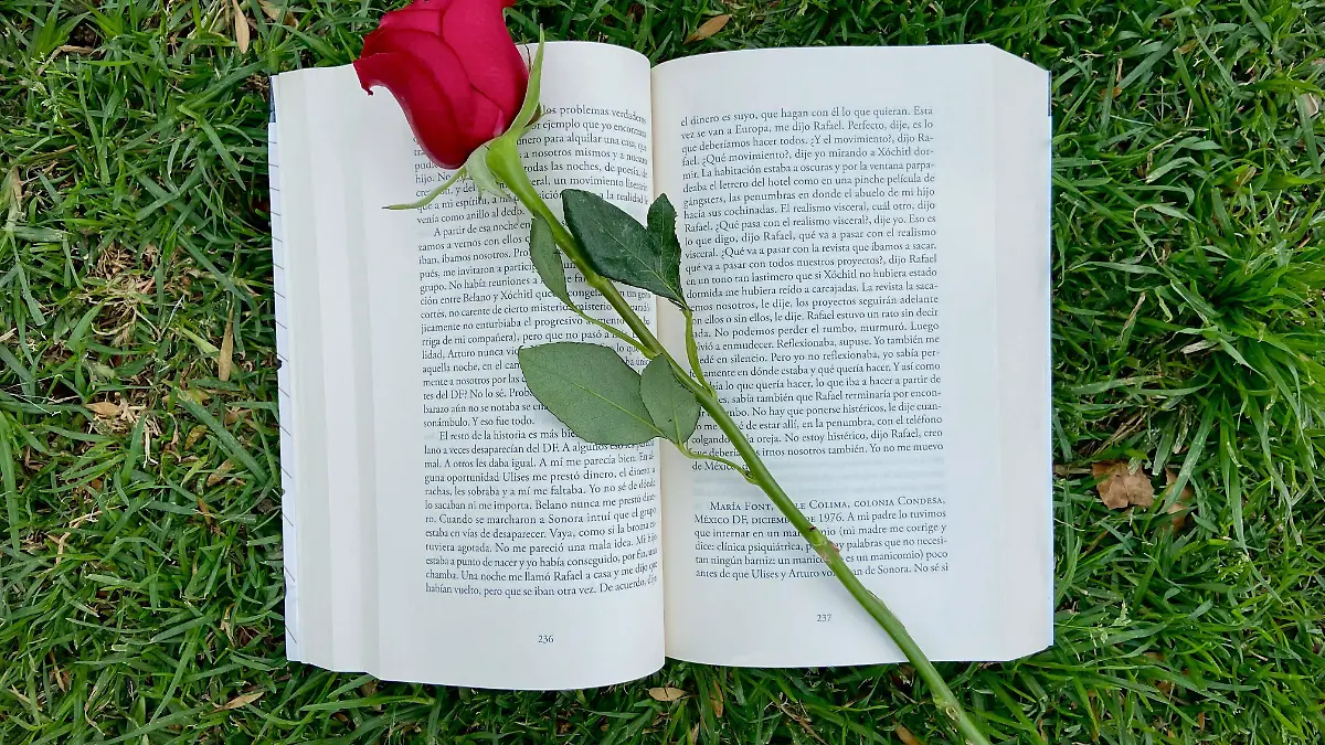 día internacional del libro