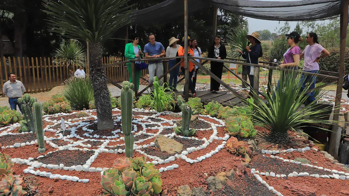 MONITOREO JARDIN 3
