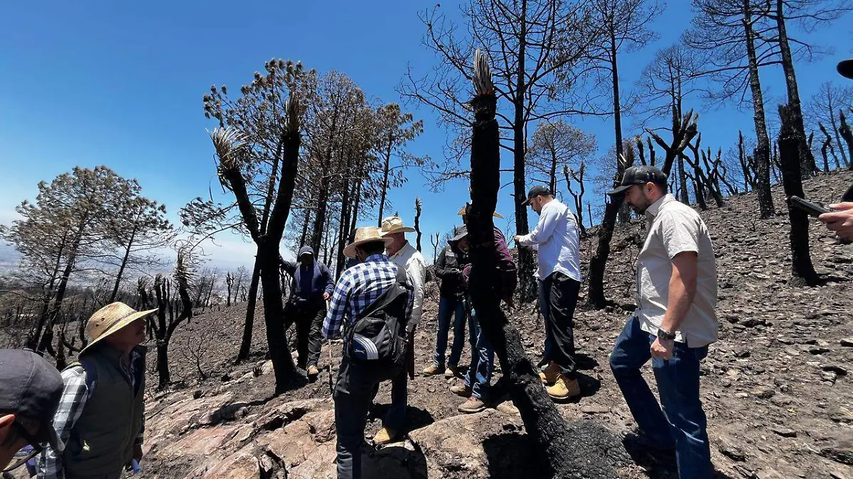 Recorrido atltzayanca (1)