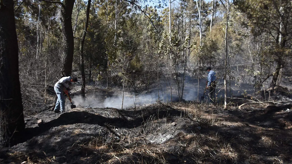 INCENDIOS  (2)