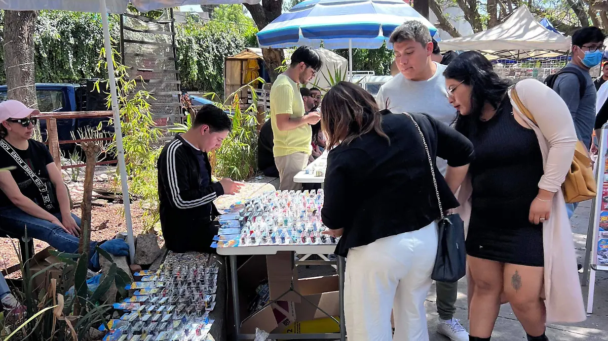 Tianguis parque de artesanías 