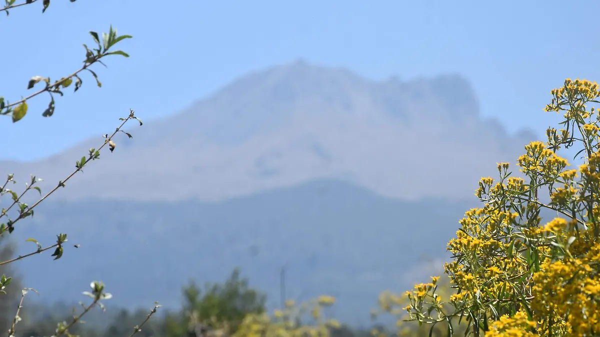 MALINCHE 1