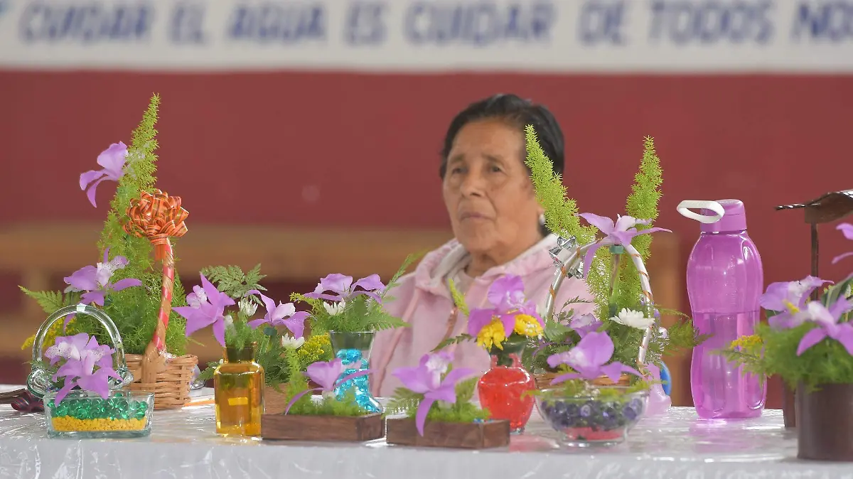 Flor orquídea4