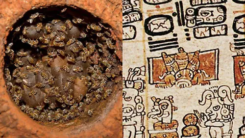 Abeja