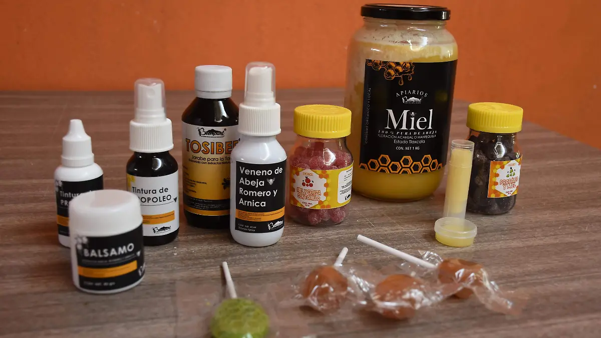 APIARIO PAPALOTLA (2)