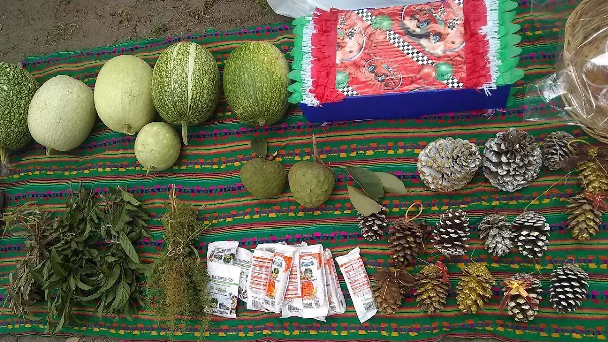 Tianguis de trueque