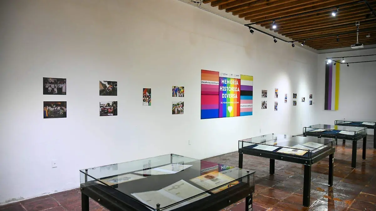 Memoria Histórica Diversa: del pecado nefando a lo cuir