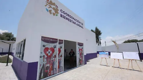clínica de Bienestar Animal (8)