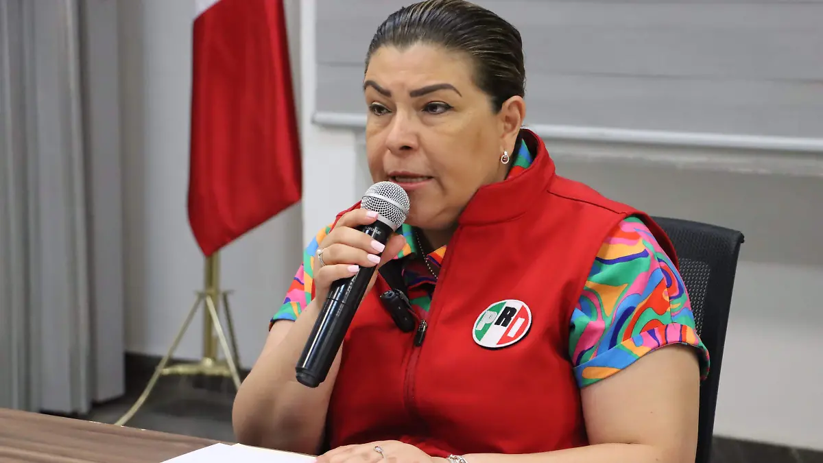 RUEDA DIPUTADA 3