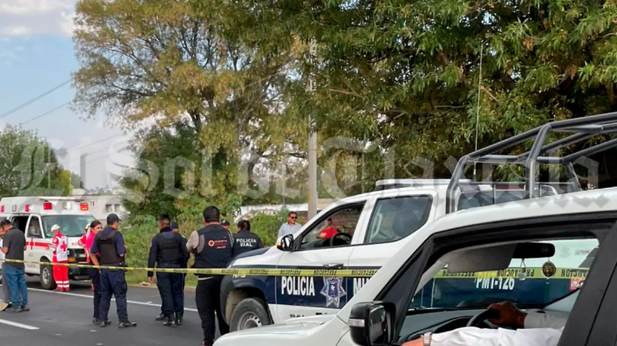 Atropellado Totolac (3) 3.