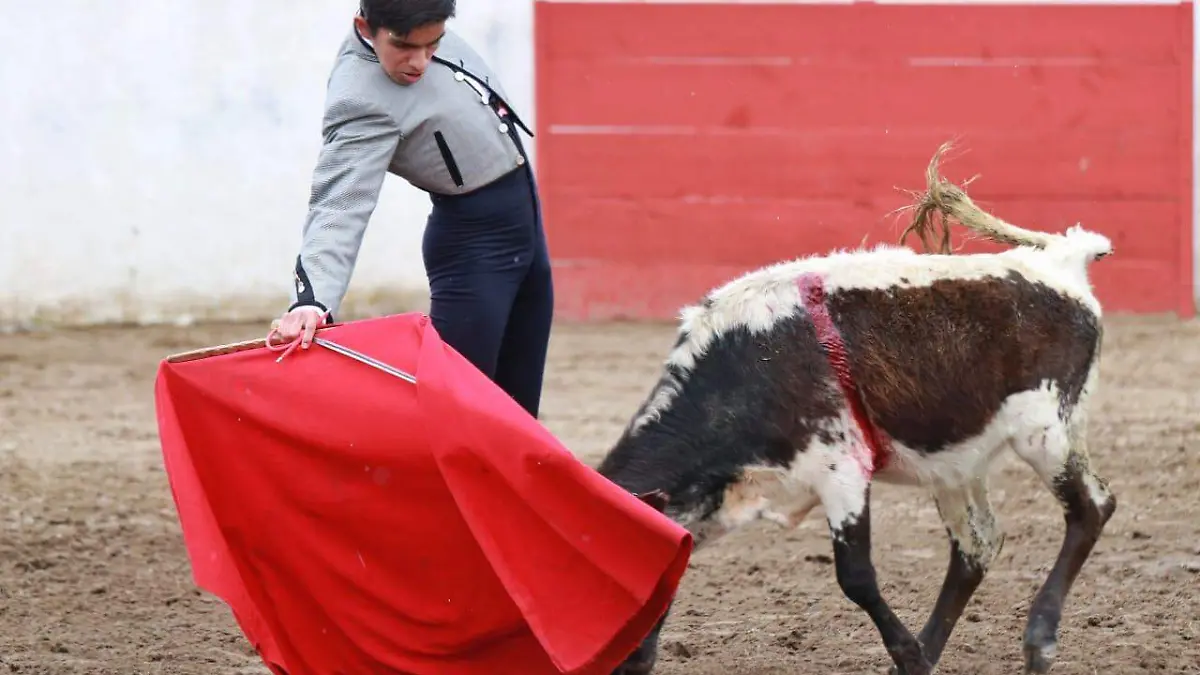 josé Alberto Ortega torero (3)