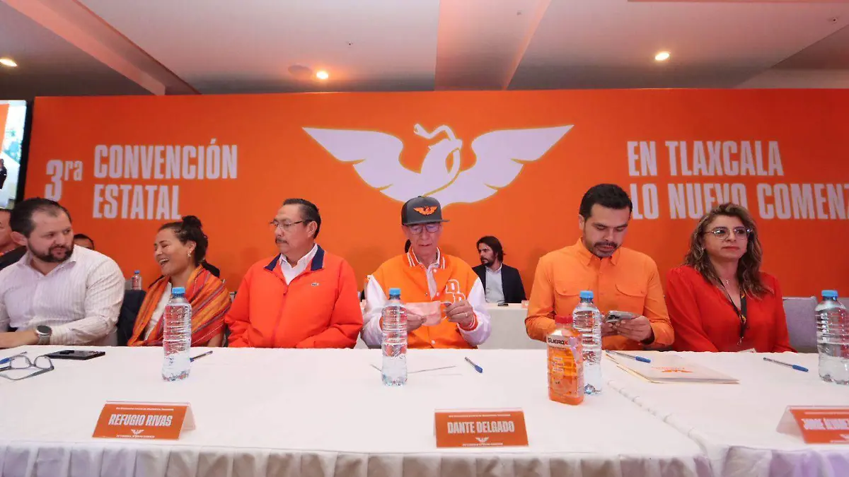 elección de comite estatal de movimiento ciudadano (2)