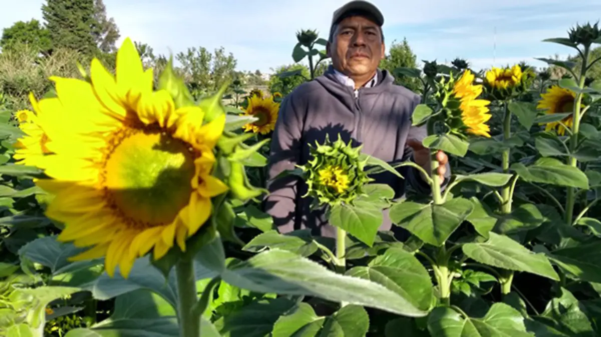 CAMPESINO-1