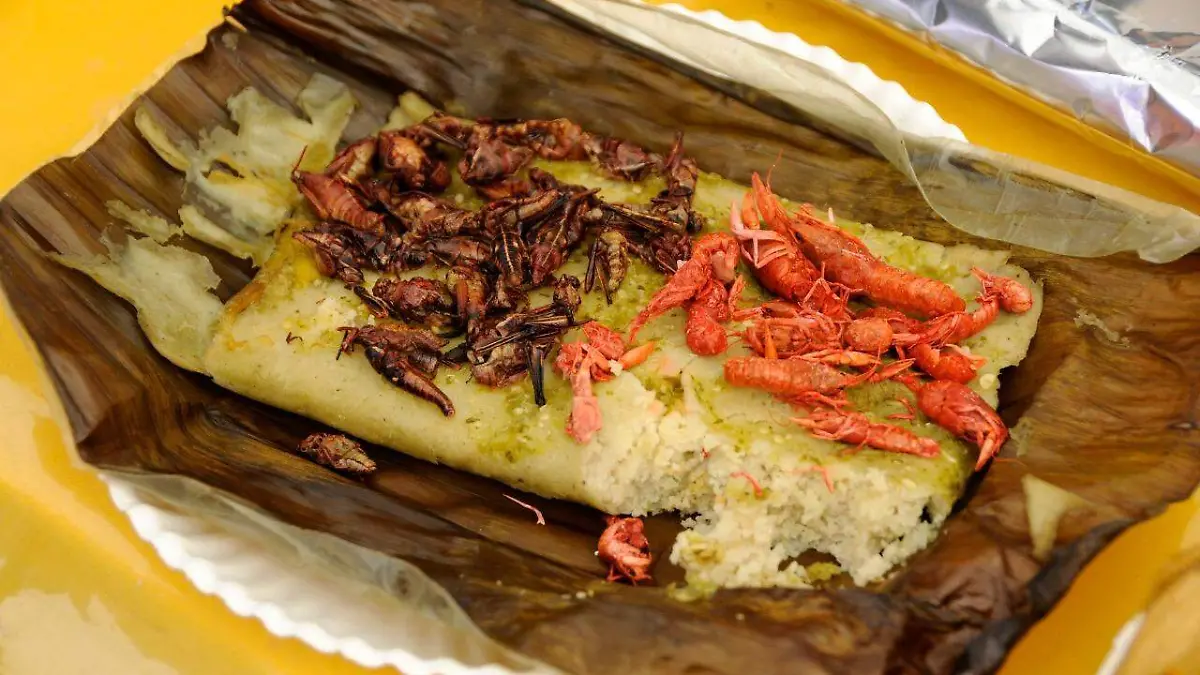 Tamal-Secretaría de Cultura