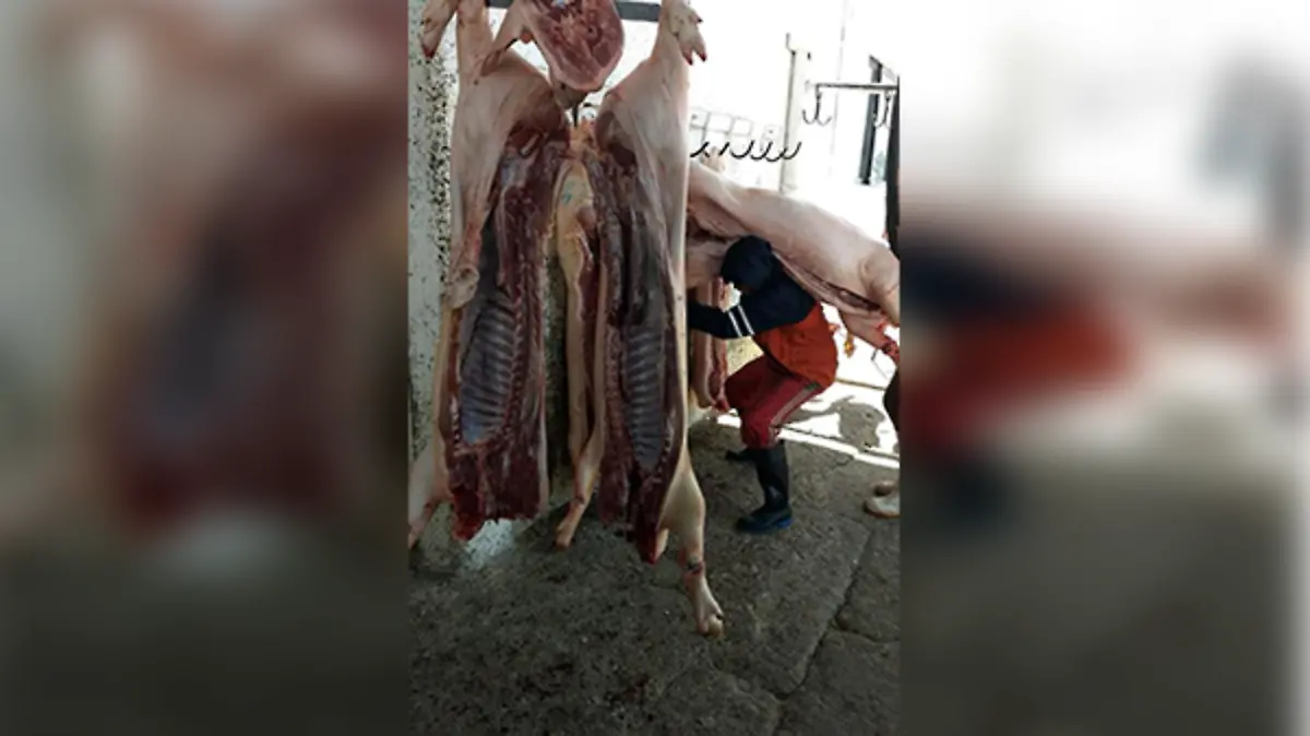 carne-de-puerco