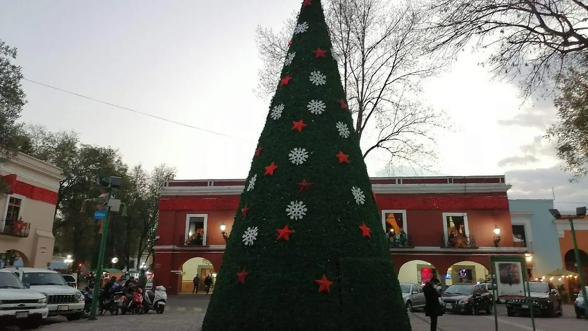 IMG-20201201-WA0019