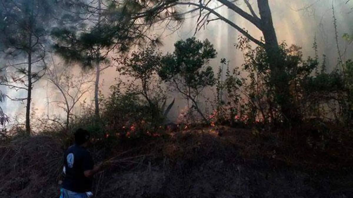 INCENDIOS-(1)