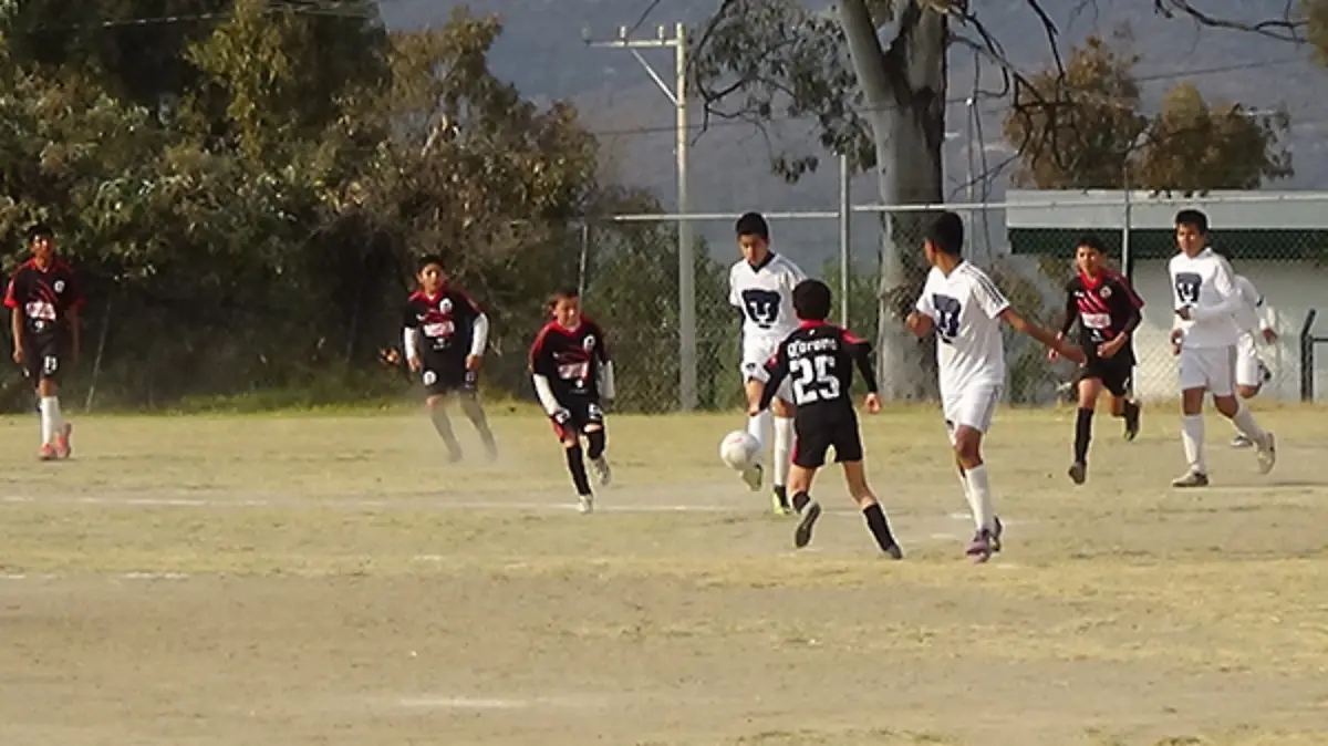 3-PREPARA