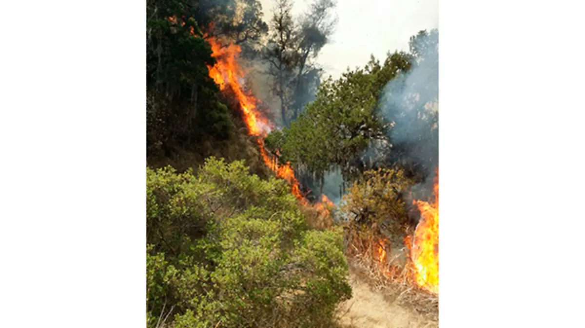Incendio-Hueyotlipan--(4)