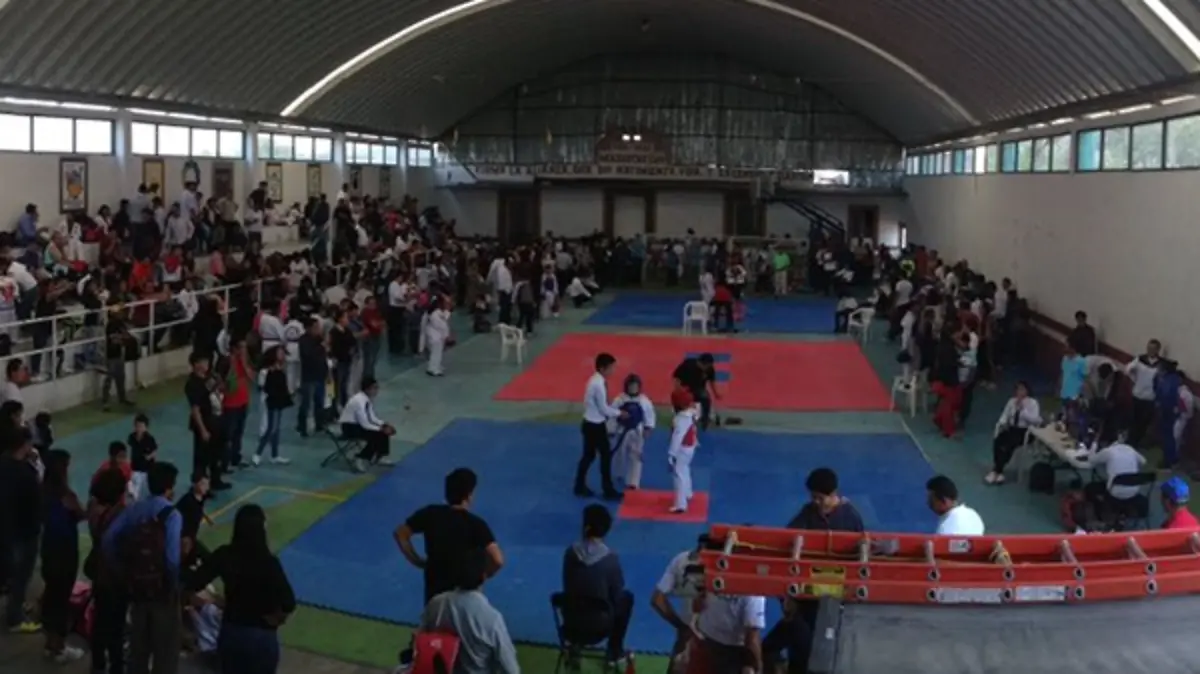6-DENTRO
