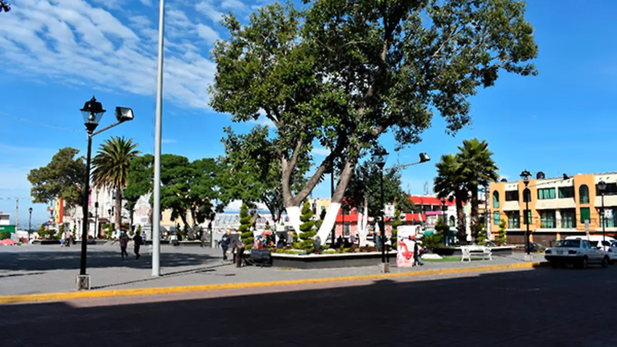 SERVICIOS-3