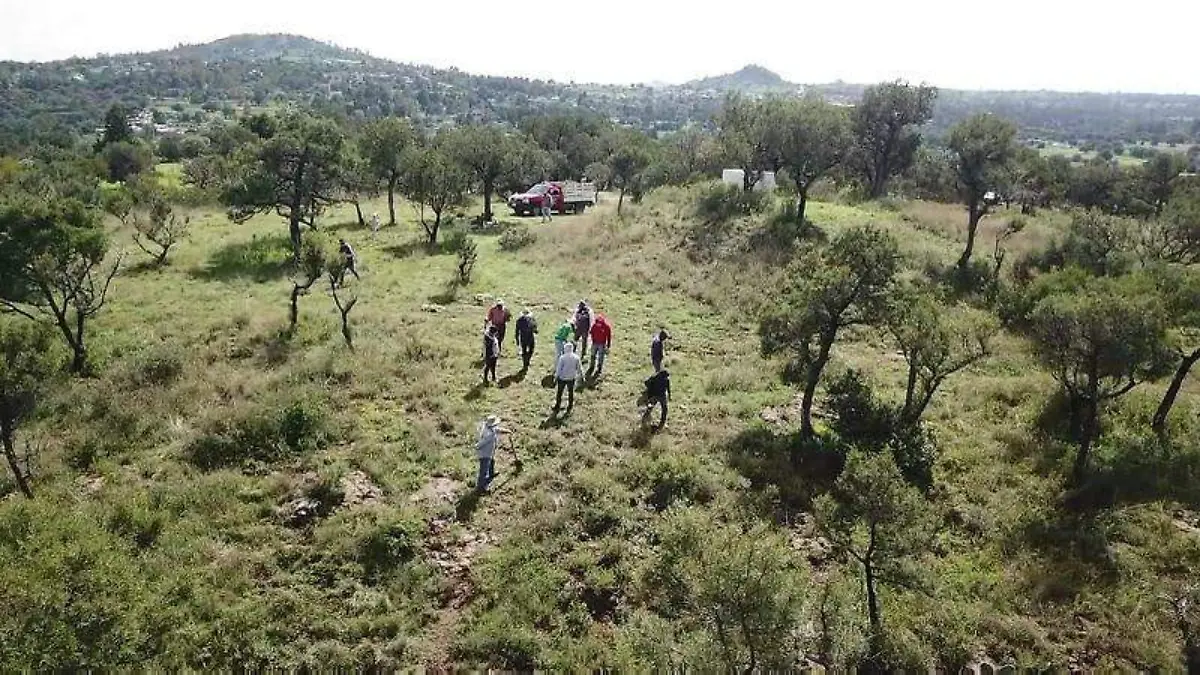 REFORESTAN 2