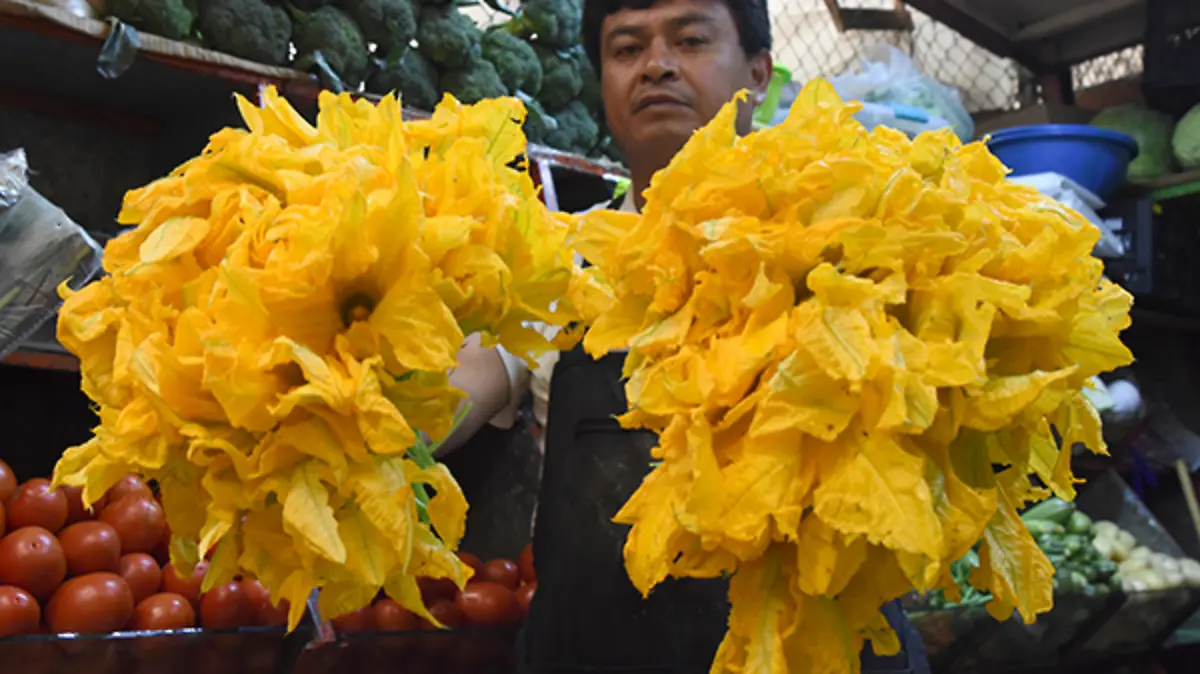 FLOR-1