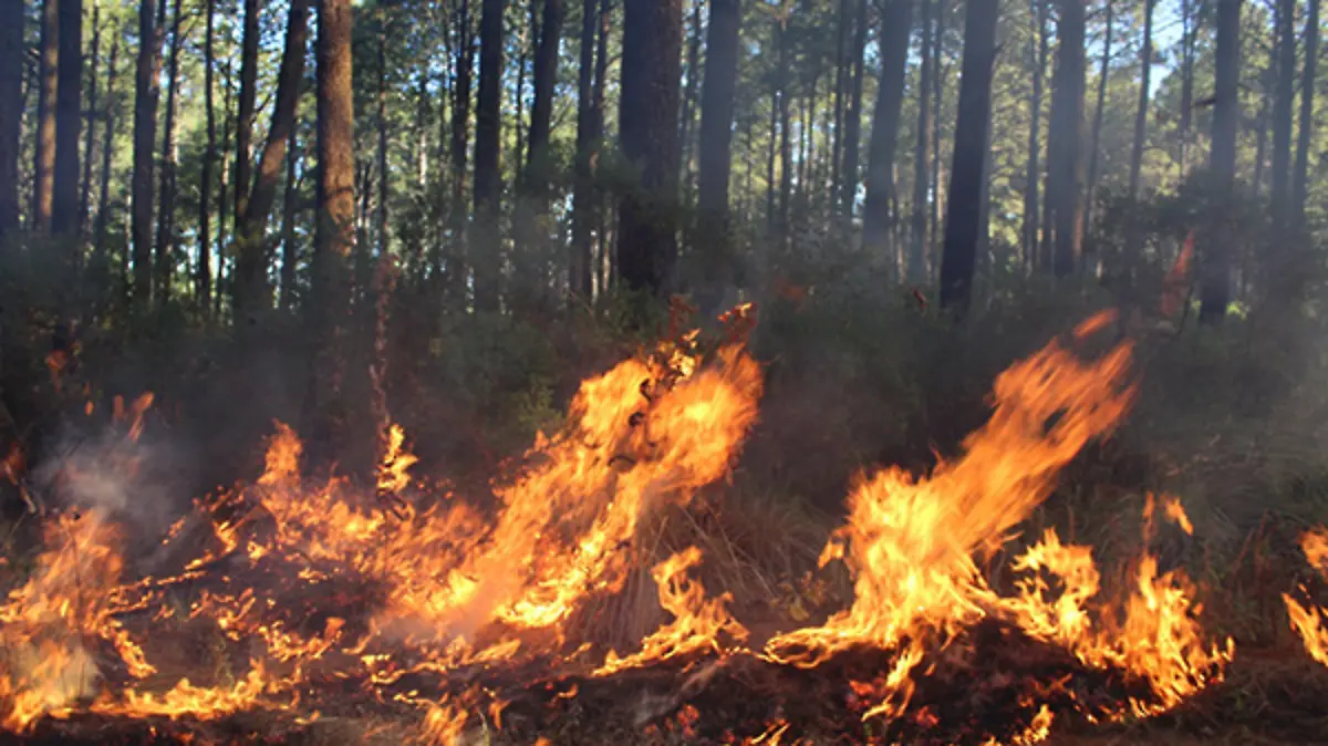 incendios