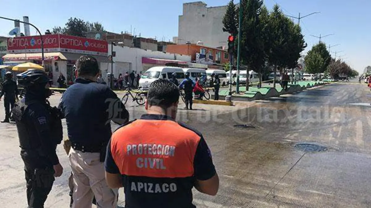 apizaco-1