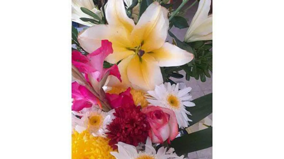 GetImageContentQPO8J94F