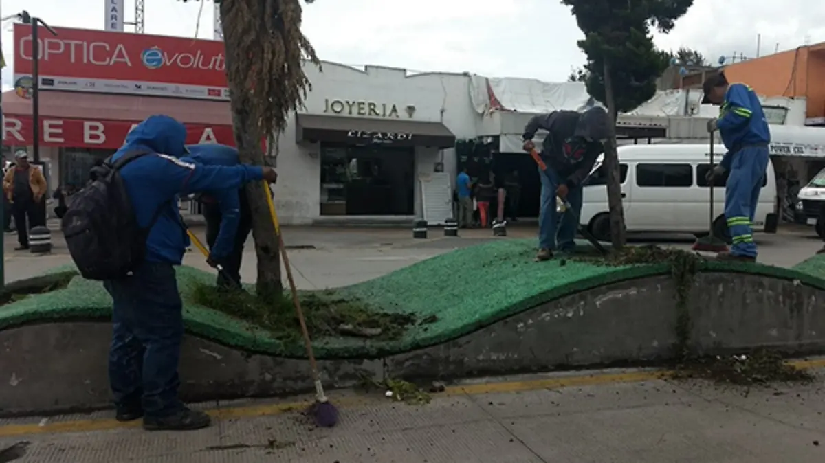 EN-APIZACO-2