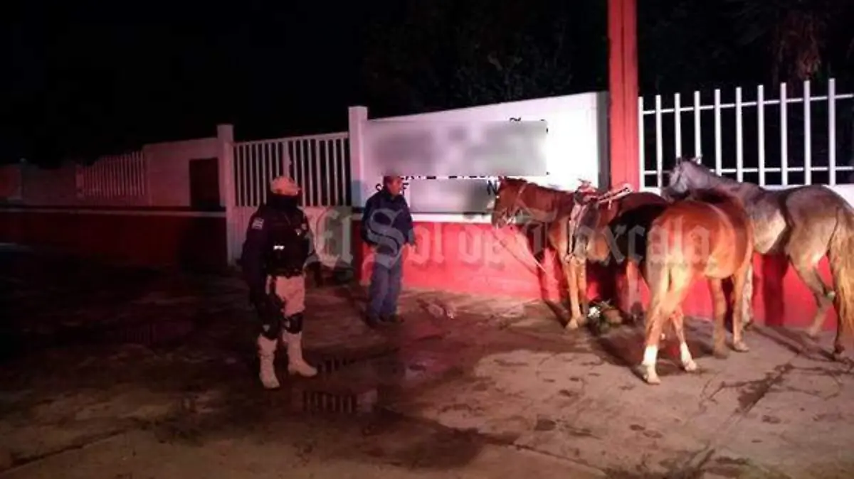 caballos-1