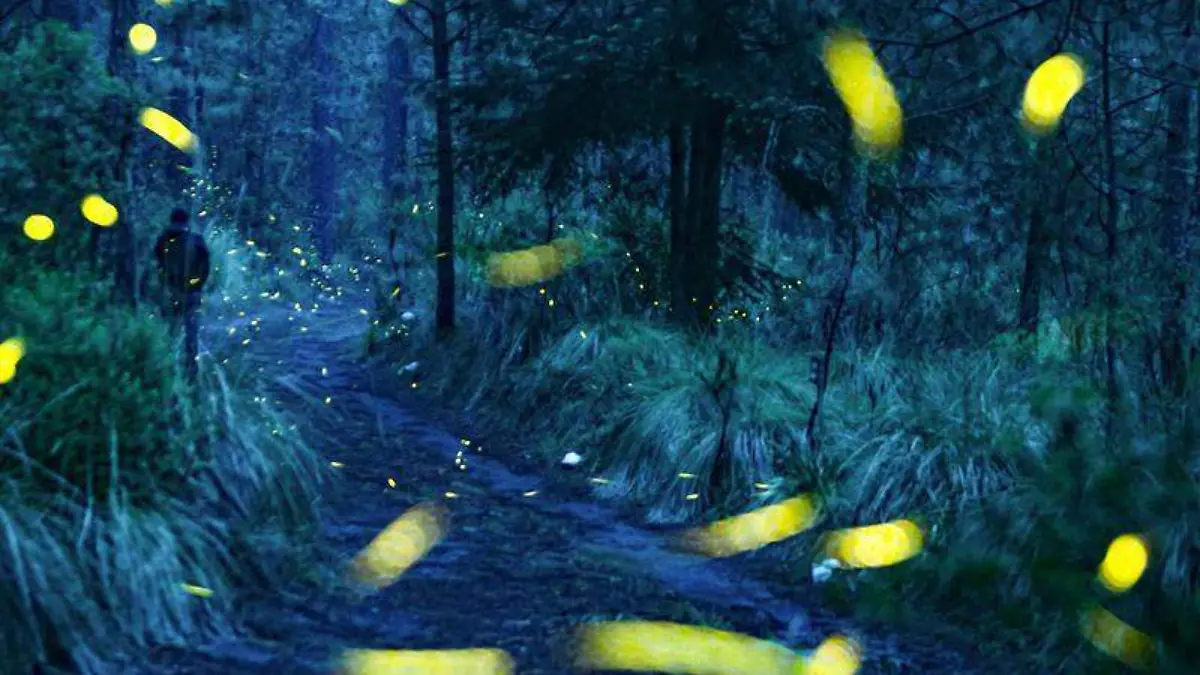 GetImageContent[10]