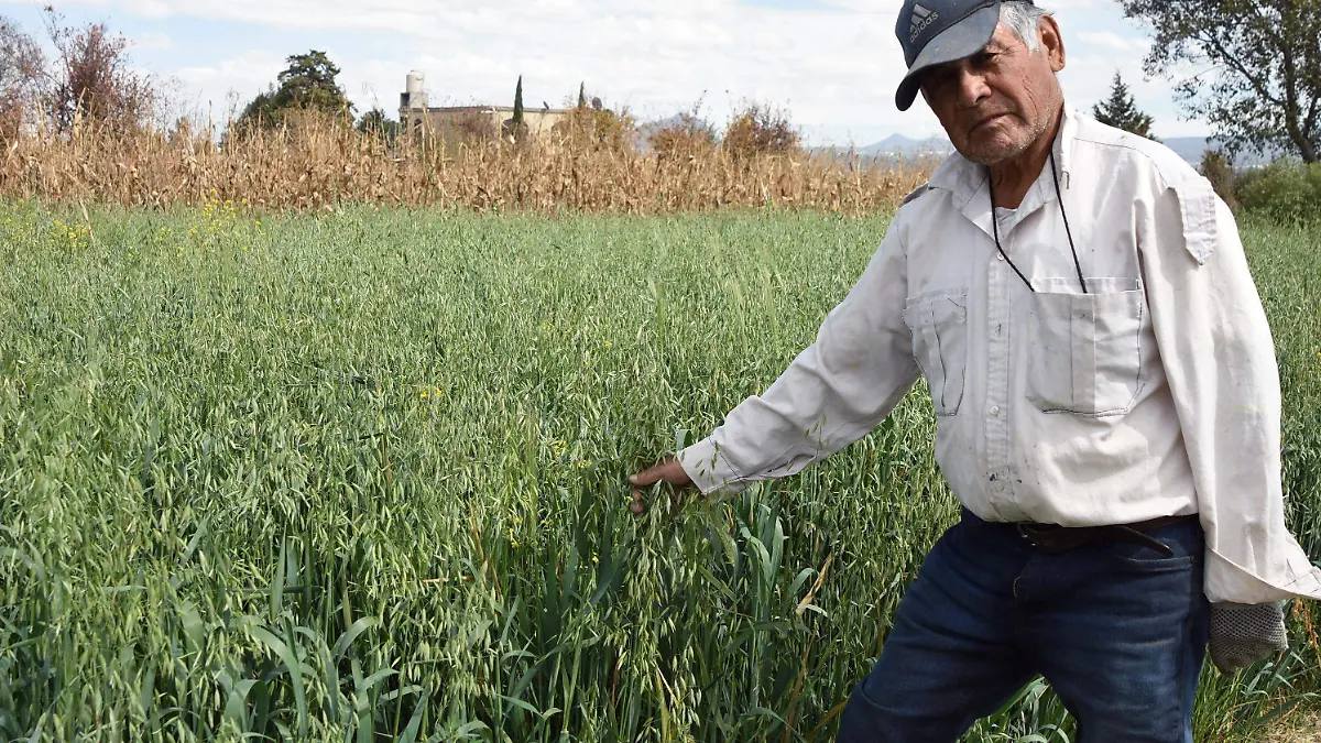 CAMPESINO 1