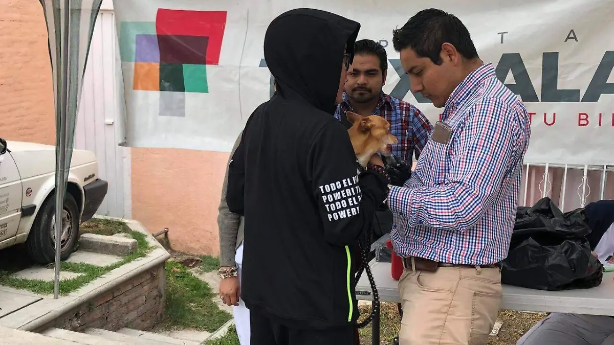 Campaña de esterilización 3