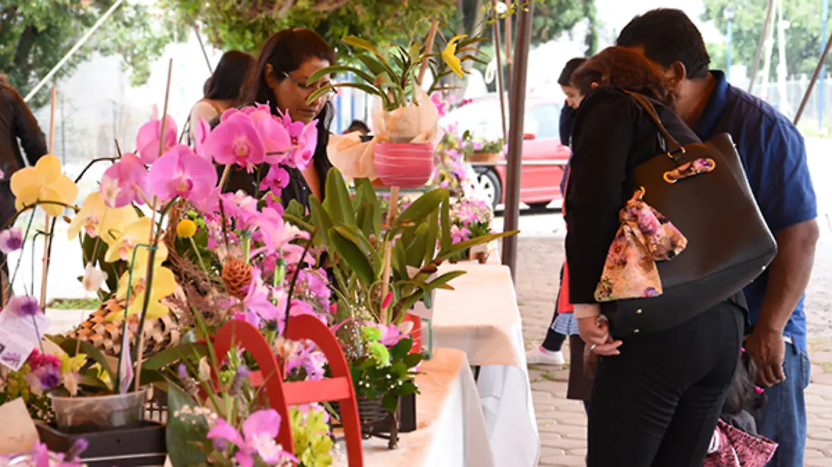 ORQUÍDEAS-(5)