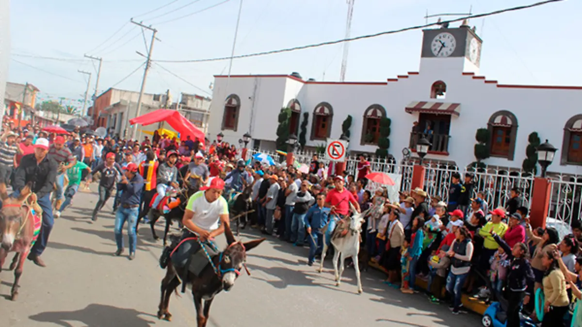 FERIA-(3)