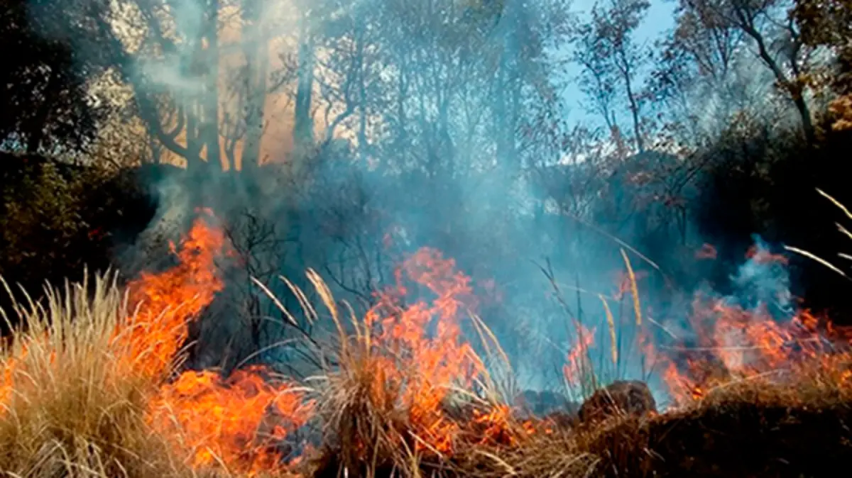 incendio