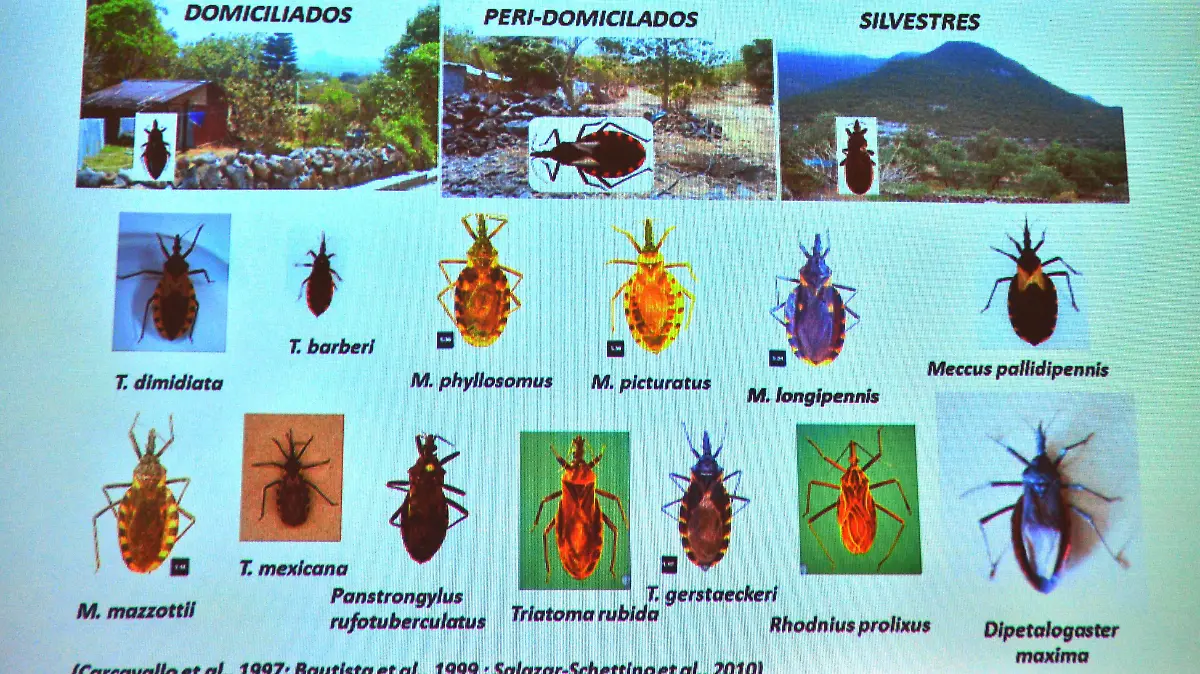 CHAGAS UNAM